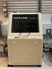 photo of cat lab